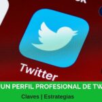 perfil profesional twitter